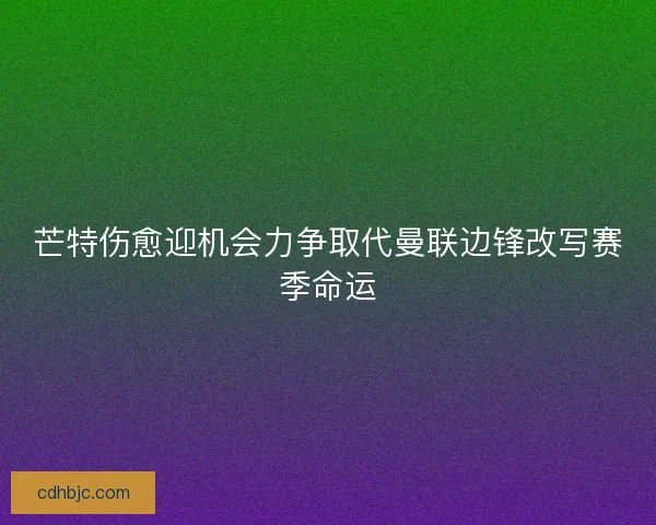 芒特伤愈迎机会力争取代曼联边锋改写赛季命运 芒特伤愈迎机会力争取代曼联边锋改写赛季命运