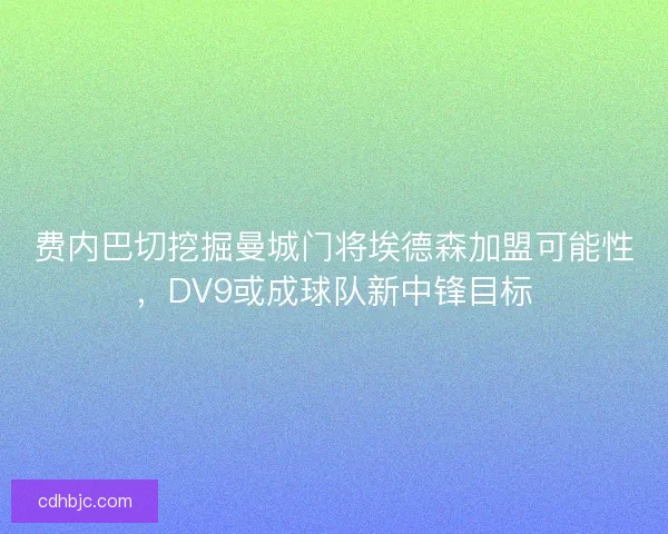 费内巴切挖掘曼城门将埃德森加盟可能性，DV9或成球队新中锋目标